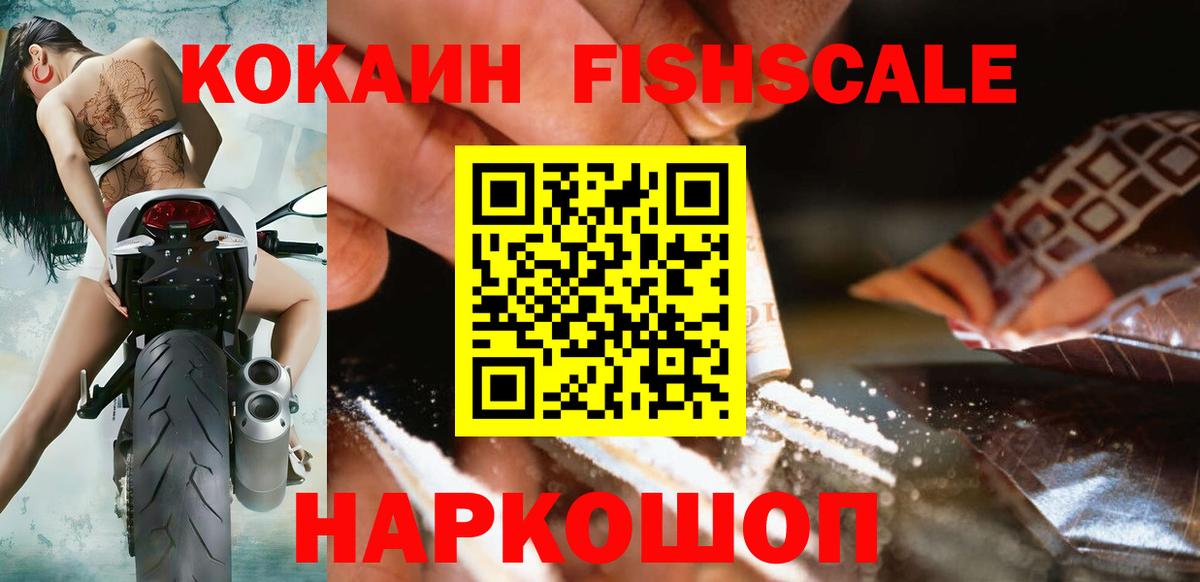 Cocaine FishScale Салехард