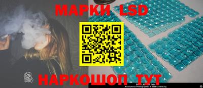 прущие грибы Краснодар
