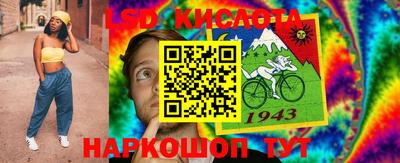мяу мяу мука Краснознаменск