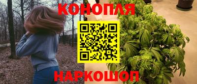 прущие грибы Краснодар