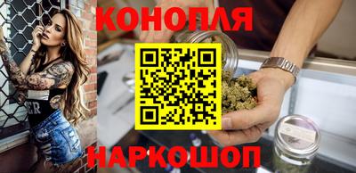 прущие грибы Краснодар