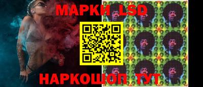 мяу мяу мука Краснознаменск