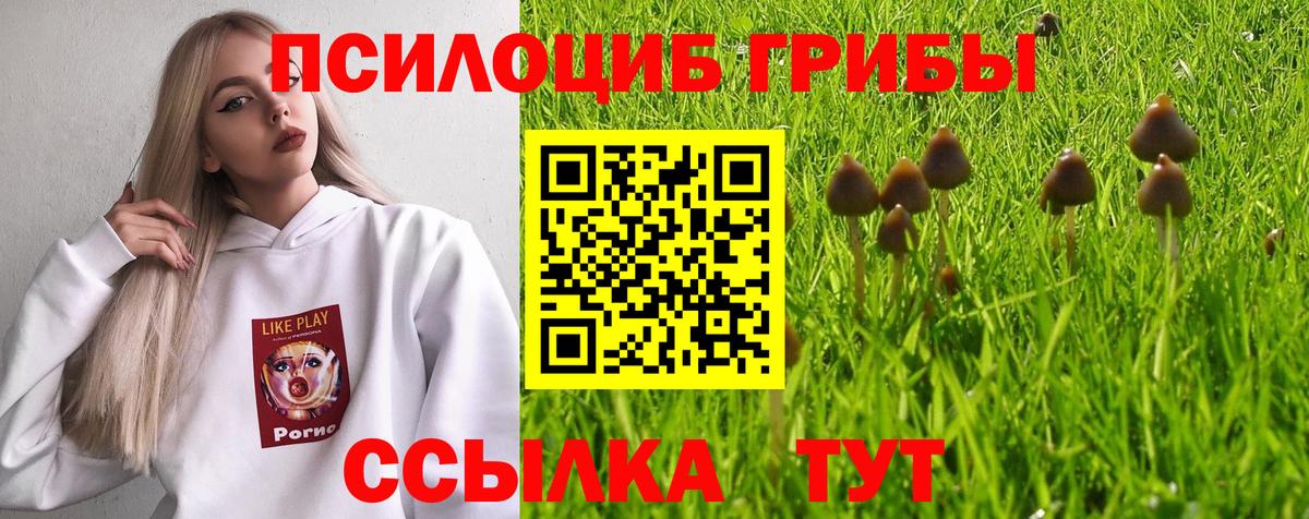 Галлюциногенные грибы Magic Shrooms  Галлюциногенные грибы Psilocybine cubensis  Вход с VPN  Салехард 