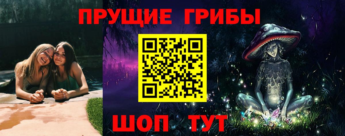 Галлюциногенные грибы Cubensis Салехард